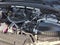 2024 Jeep Grand Cherokee 4xe 4x4