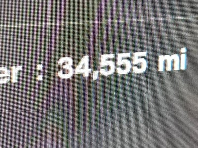 2024 Tesla Model Y Long Range AWD